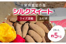 【2024年9月以降発送】千葉県富里市産　シルクスイート　5kg　サイズ混載　土付き TMH002 / さつまいも サツマイモ  シルクスイート  しるくすいーと おさつ 甘藷 唐いも あまい 甘い スイーツ スイート ポテト おやつ 千葉県 富里市 