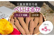 【2024年11月以降発送】千葉県富里市産　べにはるか　5kg　サイズ混載　土付き TMH004 / さつまいも サツマイモ  紅はるか べにはるか おさつ 甘藷 唐いも あまい 甘い スイーツ スイート ポテト おやつ 焼き芋 千葉県 富里市 