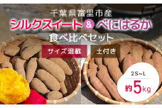 【2024年11月以降発送】千葉県富里市産　シルクスイート＆べにはるか食べ比べセット　5kg　サイズ混載　土付き TMH006 / さつまいも サツマイモ  紅はるか べにはるか   シルクスイート  しるくすいーと おさつ 甘藷 唐いも あまい 甘い スイーツ スイート ポテト おやつ 焼き芋 定期便 定期 千葉県 富里市 