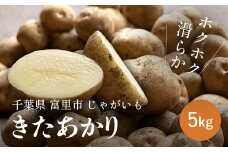 【2025年5月上旬より順次配送】富里産　じゃがいも「きたあかり」5kg 【 ふるさと納税 人気 おすすめ ランキング きたあかり じゃがいも ジャガイモ 芋 採れたて 産地直送 千葉県 富里市 送料無料 】 TME009
