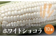 【2025年6月上旬より順次配送】富里産 白いトウモロコシ「ホワイトショコラ」10本【 ふるさと納税 人気 おすすめ ランキング ホワイトショコラ トウモロコシ 白いトウモロコシ 採れたて 産地直送 千葉県 富里市 送料無料 】TME010 