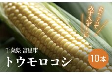 【2025年6月上旬より順次配送】富里産 トウモロコシ 10本 【 ふるさと納税 人気 おすすめ ランキング ホワイトショコラ トウモロコシ 白いトウモロコシ 採れたて 産地直送 千葉県 富里市 送料無料 】 TME011