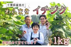 【8月下旬より順次発送】ふるやファーム自慢の絶品「わらまきイチジク 1kg（12～15個）」 TMV001