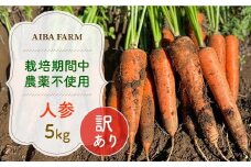【12月～2月発送】【栽培期間中農薬不使用】訳あり人参５㎏  AIBA FARM　Ｂ品 / 野菜 やさい にんじん 人参 ニンジン 名産 特産 甘い 美味しい 訳あり 不揃い B級 健康 ヘルシー フードロス AIBA FARM アイバファーム  千葉県 富里市 TML006