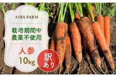 【12月～2月発送】【栽培期間中農薬不使用】訳あり人参１０㎏  AIBA FARM Ｂ品 / 野菜 やさい にんじん 人参 ニンジン 名産 特産 甘い 美味しい 訳あり 不揃い B級 健康 ヘルシー フードロス AIBA FARM アイバファーム 千葉県 富里市 TML007