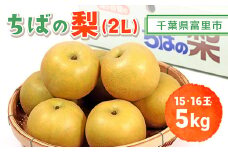 【2025年発送先行予約】【数量・期間限定】旬をお届け！富里市産 梨２L ５㎏（15,16玉）/ なし 梨 秋の味覚 産地直送 甘い 旨味 送料無料 期間限定 数量限定 JA JA富里 農協 ちば 千葉県産とみさと 富里 富里市 TMF009