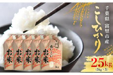 【令和6年産】千葉県富里市産 こしひかり 精米25kg（5kg×5） / コシヒカリ お米  米 こめ こしひかり 25kg うるち米 送料無料 数量限定 ちば 千葉県産とみさと 富里 富里市 TTMAA005