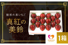 【2025年2月から順次発送】 魅惑の黒いちご「真紅の美鈴」1箱 ふるさと納税 いちごイチゴ 苺 真紅の美鈴 黒いちご 黒イチゴ しんくのみすず 甘い 完熟 魅惑 赤 深紅 ワイン色 朝収穫 新鮮 美味しい 贈答 ギフト お取り寄せ 千葉県 富里市 TME001