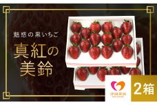 【2025年2月から順次発送】 魅惑の黒いちご「真紅の美鈴」2箱 ふるさと納税 いちごイチゴ 苺 真紅の美鈴 黒いちご 黒イチゴ しんくのみすず 甘い 完熟 魅惑 赤 深紅 ワイン色 朝収穫 新鮮 美味しい 贈答 ギフト お取り寄せ 千葉県 富里市 TME002