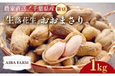 【先行予約・新豆 】【栽培期間中農薬不使用】千葉県産 大粒 農家直送！「生落花生」おおまさり１kg　【 ふるさと納税 人気 おすすめ ランキング 皮付き 殻付き ピーナッツ ピーナツ 落花生 生落花生 おおまさり オオマサリ 千葉県 富里市 送料無料 】TML008