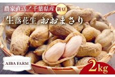 【先行予約・新豆 】千葉県産 大粒 農家直送！「生落花生」おおまさり２kg　【 ふるさと納税 人気 おすすめ ランキング 皮付き 殻付き ピーナッツ ピーナツ 落花生 千葉県 富里市 送料無料 】TML009