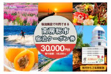 南房総市宿泊施設で利用できる感謝券 30,000pt 旅行チケット mi0023-0002 千葉 南房総市 旅行 チケット 宿泊 宿泊券 旅行券 ホテル 休息 リフレッシュ ファミリー ギフト 贈答 プレゼント