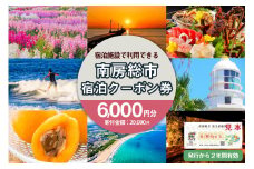 南房総市宿泊施設で利用できる感謝券 旅行チケット 6,000pt mi0023-0001 千葉 南房総市 旅行 チケット 宿泊 宿泊券 旅行券 ホテル 休息 リフレッシュ ファミリー ギフト 贈答 プレゼント