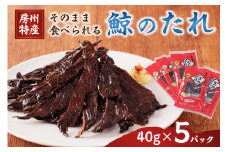 そのまま食べられる鯨（くじら）のたれ  40g×5パック  mi0012-0030