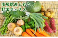 南房総産とれたて野菜ボックス mi0012-0130