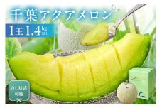 【通常配送】のし対応可能 千葉アクアメロン(マスクメロン)1玉 mi0018-0002【メロン 青肉 ギフト 贈答 プレゼント フルーツ 果物】