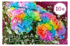 レインボーカーネーション 10本セット mi0019-0005 【 カーネーション かすみ草 母の日 プレゼント 観賞 】