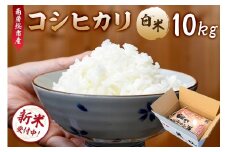 【2025年9月10日以降発送予定】【令和7年産】南房総市産コシヒカリ白米10kg mi0018-0016 【お米 精米 ごはん こしひかり おにぎり ブランド米 国産米】