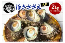南房総とみうら産　天然「活きさざえ」 mi0051-0003