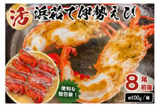 【天然】ボイル冷凍伊勢海老　約100g×8尾前後 mi0020-0002 魚介 海鮮 お祝い ギフト プレゼント 天然 海老 エビ 千葉 冷凍 ボイル
