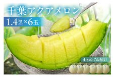 千葉アクアメロン(マスクメロン)6玉【まとめてお届け】 mi0018-0006
