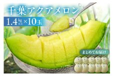 【TVで紹介！】千葉アクアメロン(マスクメロン)10玉【まとめてお届け】 mi0018-0008