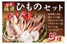 地魚極選ひものセット（金目鯛、真アジ、スルメイカ、ダルマイカ、サバ） mi0022-0013