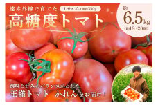 遠赤外線で育てた高糖度トマトLサイズ 約6.5ｋｇ 1箱（約18～20個入） mi0019-0003 【野菜 トマト 酸味 王様トマト かれん パスタソース スープ】