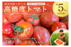 遠赤外線で育てた高糖度トマトMサイズ 約5Kｇ 1箱（約24個入り） mi0019-0004 【野菜 トマト 酸味 王様トマト かれん パスタソース スープ】