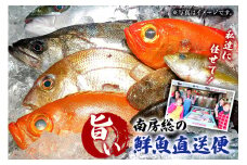 私達に任せてみませんか　南房総の旨い鮮魚直送便 mi0051-0004
