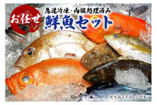 急速冷凍・内臓処理済み　お任せ鮮魚セット mi0051-0007