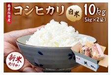 【2025年9月10日以降発送予定】【令和7年産】南房総市産コシヒカリ白米10kg（5kg×2袋） mi0018-0015 【お米 精米 ごはん こしひかり おにぎり ブランド米 国産米】
