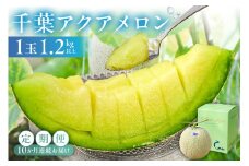 【定期便】千葉アクアメロン1玉（1.2Kg）【10ヶ月連続お届け】 mi0018-0007 メロン 青肉 ギフト 贈答 プレゼント フルーツ 果物