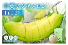 【定期便】千葉アクアメロン1玉（1.2Kg）【3か月連続お届け】 mi0018-0004 メロン 青肉 ギフト 贈答 プレゼント フルーツ 果物