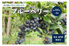 【2025年8月6日～8月20日発送予定】約200g×6パック　南房総の里山で育まれたブルーベリー mi0026-0001-2 【完熟 ブルーべリー 南房総 里山 自然 フルーツ 果物】 