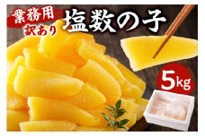  【訳あり】 塩数の子 業務用 5kg （折れ） mi0012-0064 【数の子 魚卵 海産物 年末年始 お正月 おせち】