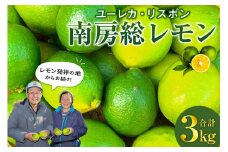 南房総レモン3kg(ユーレカ・リスボン) mi0032-0006 【果物 フルーツ 果実 レモン 柑橘】