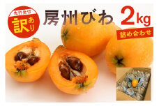 【先行受付 2025年5月下旬～6月下旬発送予定】〈訳あり〉房州びわ(露地栽培) 2kg　詰め合わせ mi0038-0001【びわ フルーツ 旬 季節 果物 瑞々しい お取り寄せ グルメ】