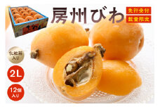 【先行受付 2025年5月下旬～6月下旬発送予定】房州びわ(露地栽培) 2L以上12ヶ入り 1箱 mi0038-0002【びわ フルーツ 旬 季節 果物 瑞々しい お取り寄せ グルメ】