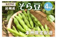 【先行受付 2025年4月中旬～5月中旬発送予定】そら豆/ソラマメ4kg mi0044-0012【豆 野菜 期間限定 数量限定 新鮮 朝採れ】
