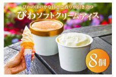 【TVで紹介！】びわソフトクリームアイス8個セット mi0010-0009