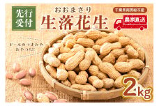 【先行受付 2025年9月中旬～11月中旬発送予定】『おおまさり 生落花生 2kg』農家直送！ mi0039-0013【落花生 ピーナッツ 殻付き 千葉 おつまみ 大粒】
