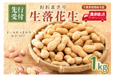 【先行受付 2025年9月中旬～11月中旬発送予定】『おおまさり 生落花生 1kg』農家直送！ mi0039-0006 【落花生 ピーナッツ 殻付き 千葉 おつまみ 大粒】