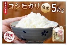 【2025年9月10日以降発送予定】【令和7年産】南房総市産コシヒカリ白米5kg mi0018-0012 【お米 精米 ごはん こしひかり おにぎり ブランド米 国産米】