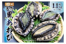 【先行受付 2025年5月～9月上旬発送予定】房州産天然黒あわび約1.1kg mi0014-0009 あわび 黒アワビ 天然 海鮮 ギフト プレゼント BBQ バーベキュー 千葉