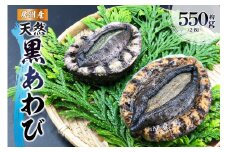 【先行受付 2026年5月～9月上旬発送予定】房州産天然黒あわび約550g mi0014-0007 あわび 黒アワビ 天然 海鮮 ギフト プレゼント BBQ バーベキュー 千葉