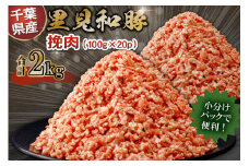 房総ブランド豚　里見和豚　挽肉2kg mi0017-0016