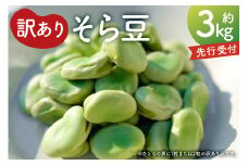 【先行受付2025年4月下旬よりお届け】（訳あり）そら豆3kg mi0046-0006 【豆 そら豆 春野菜 甘み 香り 塩茹で パスタ 天ぷら おかず 食品 】