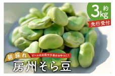 【先行受付 2025年4月25日頃～5月中旬発送予定】朝採れ房州そら豆3kg mi0046-0004 【ソラマメ 豆 おつまみ 朝採れ 新鮮】