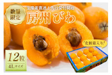 【2025年5月下旬～6月中旬発送予定】房州びわ4L以上サイズ×12粒（化粧箱入り） mi0044-0016